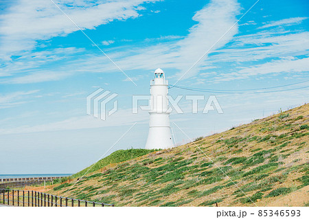 竜洋海洋公園 掛塚灯台 竜洋海洋公園 掛塚灯台 85346593
