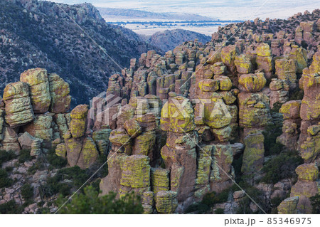 Chiricahua Chiricahua 85346975