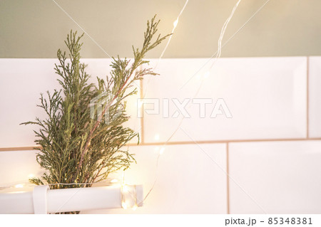 Trendy thuja flower. Bedroom interior design. Minimal bouquet. Grass decoration Trendy thuja flower. Bedroom interior design. Minimal bouquet. Grass decoration 85348381