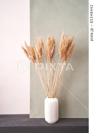 Trendy pampas flower. Bedroom interior design. Minimal bouquet 85348442