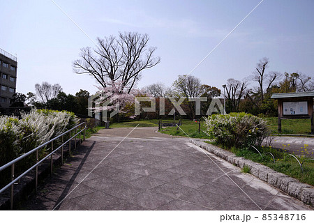 大仏殿跡緑地公園 大仏殿跡緑地公園 85348716