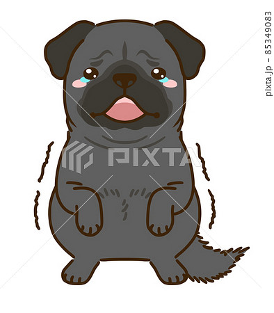 おびえる黒パグのイラスト素材 おびえる黒パグのイラスト素材