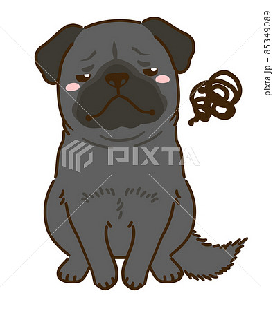 不満がある黒パグ 85349089