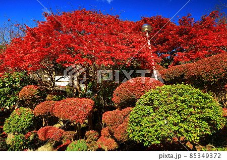 岩手県花巻市　紅葉の花巻温泉旧松雲閣 85349372