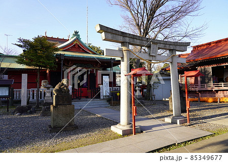 浅間神社 （横浜市西区）本殿 85349677