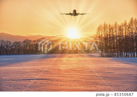 防雪林に沈む美しいサンセット風景 85350687