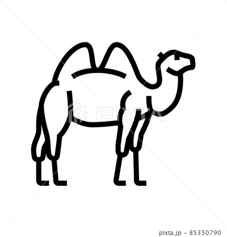 camel animal in zoo line icon vector illustration 85350790