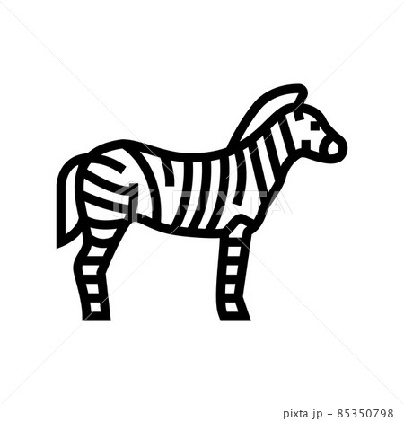zebra animal in zoo line icon vector illustration zebra animal in zoo line icon vector illustration 85350798