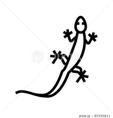 lizard wild animal line icon vector illustration lizard wild animal line icon vector illustration 85350811