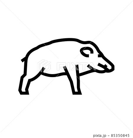 boar wild animal line icon vector illustration 85350845
