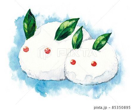 雪ウサギの水彩画 85350895