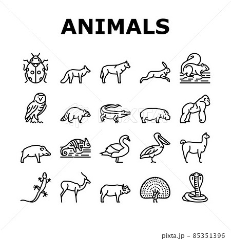 Wild Animals, Bugs And Birds Icons Set Vector 85351396