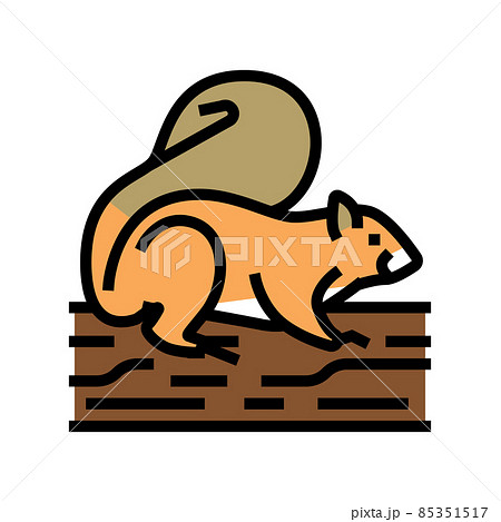 squirrel wild animal color icon vector illustration squirrel wild animal color icon vector illustration 85351517