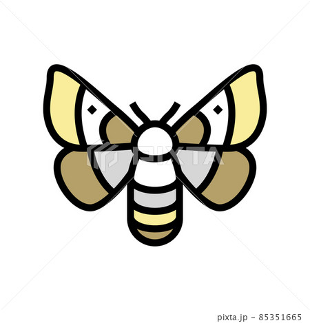 adult silkworm moths color icon vector illustration adult silkworm moths color icon vector illustration 85351665