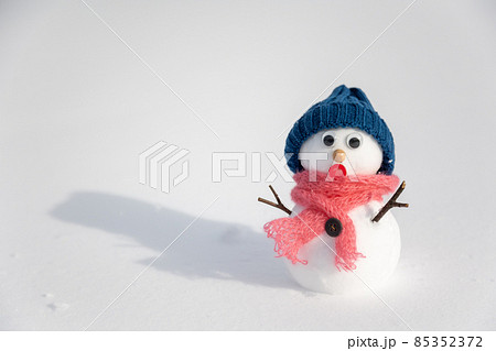 驚く表情の雪だるま 85352372