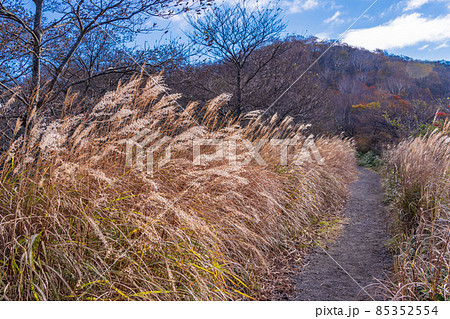 （群馬県）赤城山　大沼小沼見晴台・関東ふれあいの道 85352554