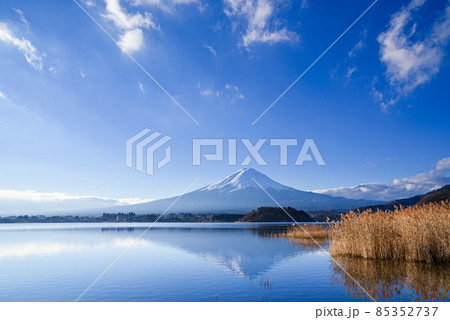 快晴の空と逆さ富士・大石公園からの絶景 85352737
