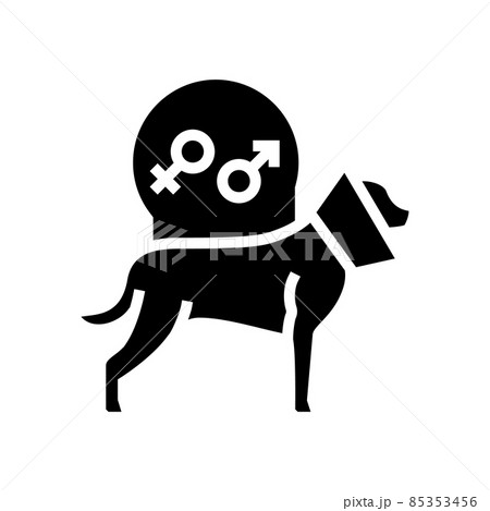 spaying and neutering pet glyph icon vector illustration 85353456
