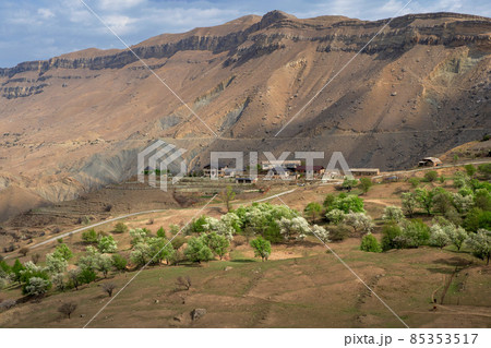 Blooming mountain garden in spring. Mountain village in spring greenery. Picturesque ethnic houses on a mountain slope. Dagestan. 85353517
