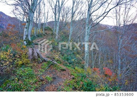 雨飾山登山道の尾根 雨飾山登山道の尾根 85353600