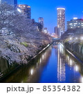 目黒川と夜桜 85354382