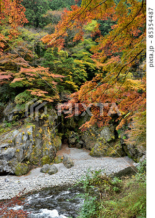 東京でも見られる見事な紅葉・奥多摩の秋の休日 85354487
