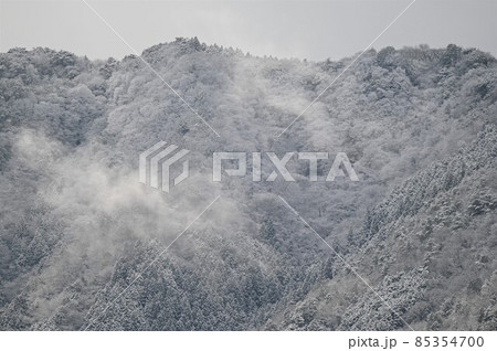 【兵庫県 丹波市】雪化粧の山 85354700