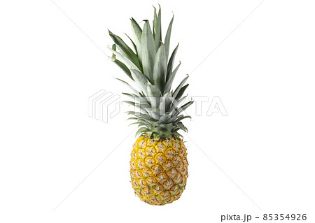 パイナップルPSDキリヌキ 85354926