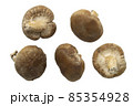 しいたけPSDキリヌキ しいたけPSDキリヌキ 85354928