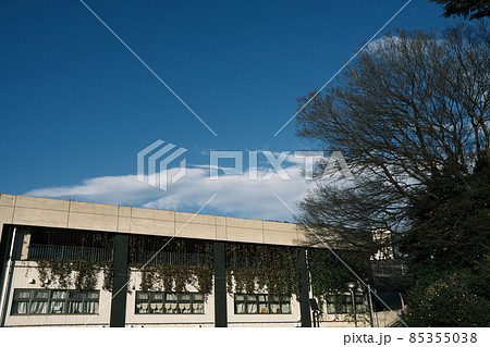 壁面緑化が施された建築物と青空 壁面緑化が施された建築物と青空 85355038