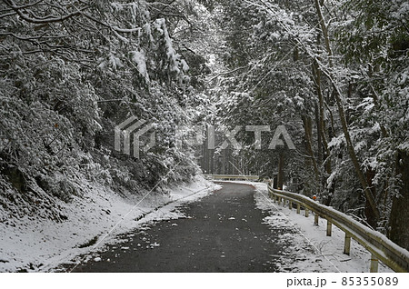 【兵庫県 丹波市】降雪の山道 85355089