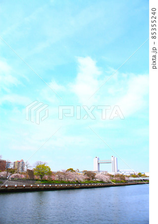 春の名古屋市、桜とセンチュリーホールの風景 春の名古屋市、桜とセンチュリーホールの風景 85355240