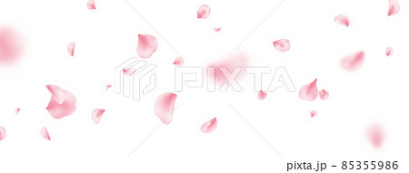 Flower petal flying background. Sakura spring blossom on long banner. Pink rose composition. Beauty Spa product frame. Valentine romantic card. Light delicate pastel design. Vector illustration 85355986