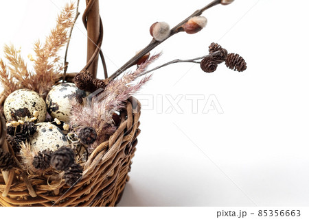 Easter wicker basket with small spotted eggs and fluffy pampas grass Easter wicker basket with small spotted eggs and fluffy pampas grass 85356663