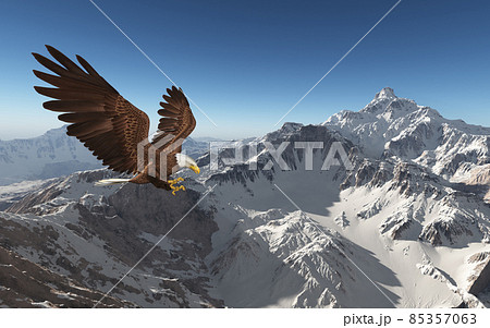 Sea eagle over a mountain landscape 85357063
