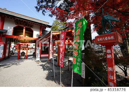 箱崎八幡神社 冬 鹿児島県 箱崎八幡神社 冬 鹿児島県 85358776