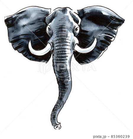 Elephant Head Outline Images  Browse 5653 Stock Photos Vectors and  Video  Adobe Stock
