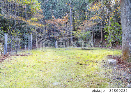 比叡山延暦寺　晩秋の横川地区　一念寺跡 85360285