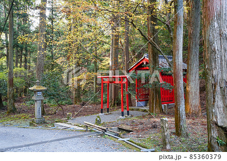 比叡山延暦寺 晩秋の横川地区 参道の稲荷社 比叡山延暦寺 晩秋の横川地区 参道の稲荷社 85360379