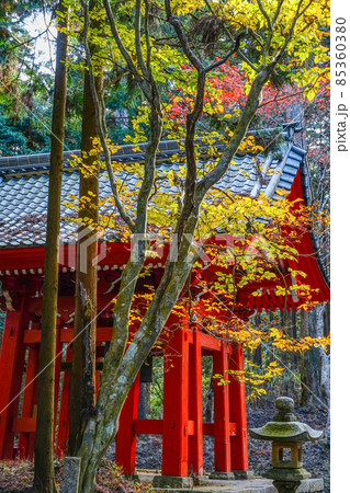 比叡山延暦寺　晩秋の横川鐘楼 85360380