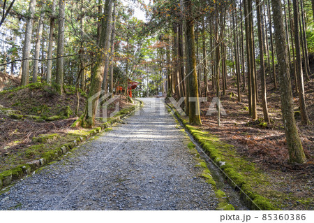 比叡山延暦寺　晩秋の横川地区参道 85360386
