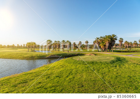 Modern golf courses for tourists with clear ponds and palm trees for relaxation and golf. Albufeira, Algarve Sunny day Modern golf courses for tourists with clear ponds and palm trees for relaxation and golf. Albufeira, Algarve Sunny day 85360665