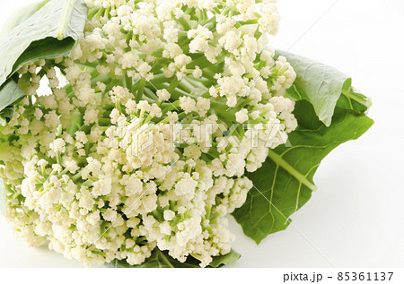 スティックカリフラワー カリフローレ 85361137