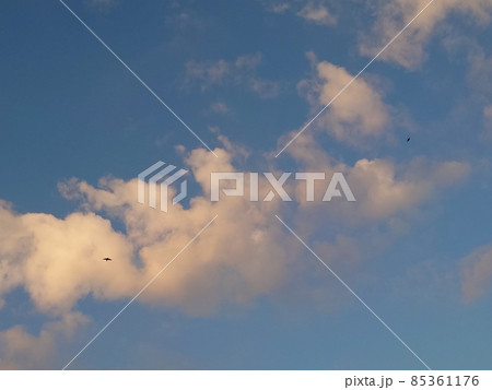 青空と雲と鳥 85361176