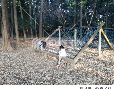 千葉県柏市:手賀の丘公園でアスレチック 千葉県柏市:手賀の丘公園でアスレチック 85361234
