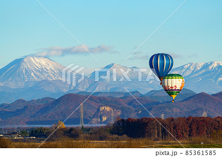 渡良瀬遊水地　バルーンと雪山 85361585