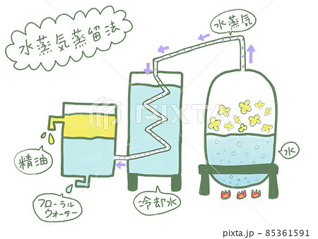 水蒸気蒸留法でアロマオイルを精製（説明付き） 85361591