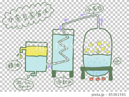 水蒸気蒸留法でアロマオイルを精製（説明付き） 85361591