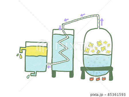 水蒸気蒸留法でアロマオイルを精製 水蒸気蒸留法でアロマオイルを精製 85361593