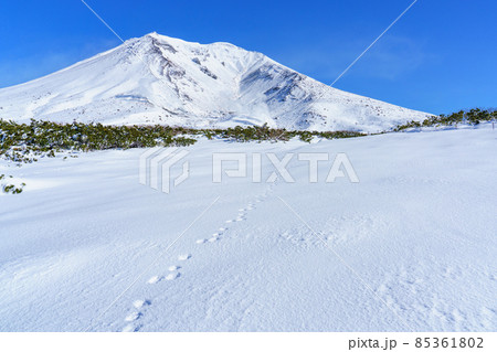 初冬の大雪山 旭岳 85361802